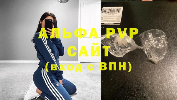 шишки Апатиты