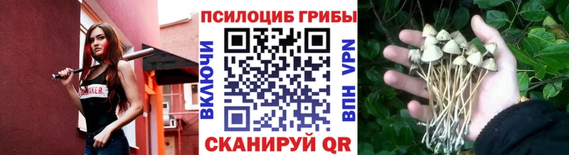Галлюциногенные грибы прущие грибы  Бирск 