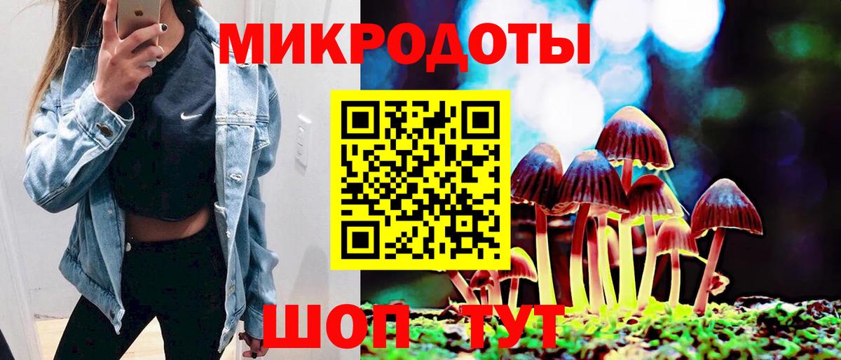 Псилоцибиновые грибы Psilocybine cubensis Бирск